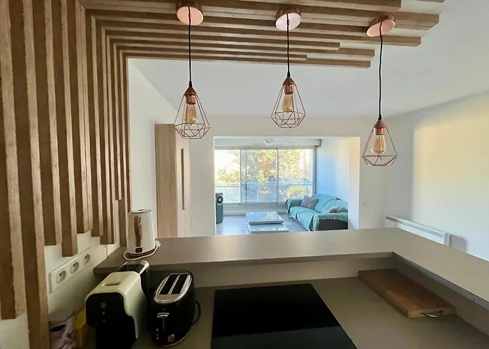 Apt Golfe Juan - 5Min Des Plages - Parking Privee - Piscine Rooftop